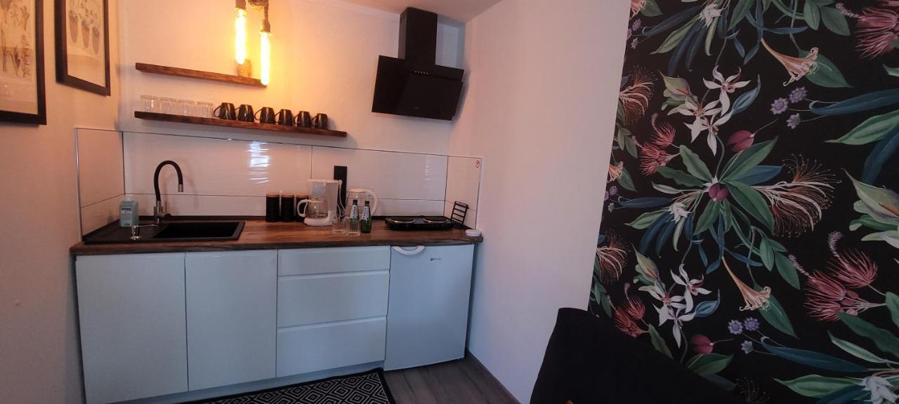 Apartamenty Pod Uwalonym Debem Jezow Sudecki المظهر الخارجي الصورة